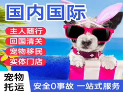 白城机场快递国际宠物托运 【国